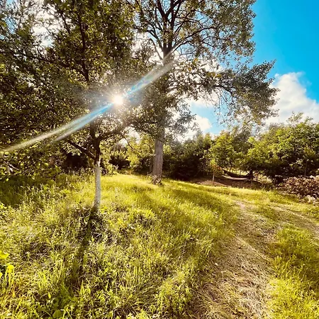 Ekologiczny Kozioleczek Роскошный шатер Trzepowo (Pomerania)